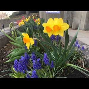 Meet your Posher, Cynthia